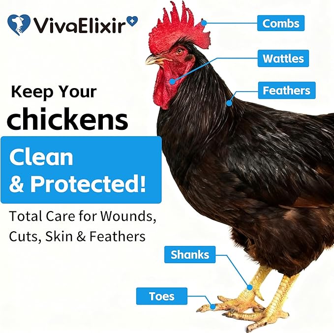 Chicken Wound Spray – Poultry Care & Healing Aid for Wounds, Pecking Injuries, Bumblefoot, Cuts & Burns – Skin Repair for Vent Prolapses – 300ml