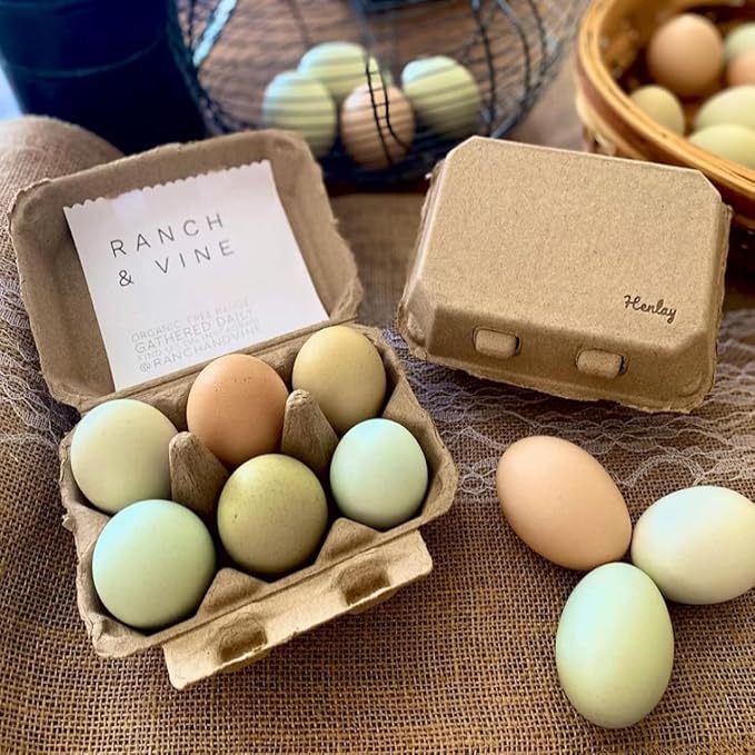 Half Dozen Blank Egg Cartons – Flat Top Half-Dozen Holder, Recyclable Pulp, Ideal for Farm-Fresh Eggs, DIY Custom Labeling, Eco-Friendly Storage - 100 Pack