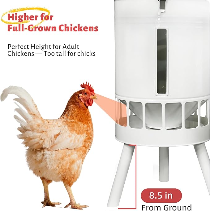 KOL 50LB Metal Chicken Feeder - No Waste, No Clog Design with 16 Ports & Smooth Gravity-Flow, Powder Coated Rust-Proof for Coop Use (Jade White)