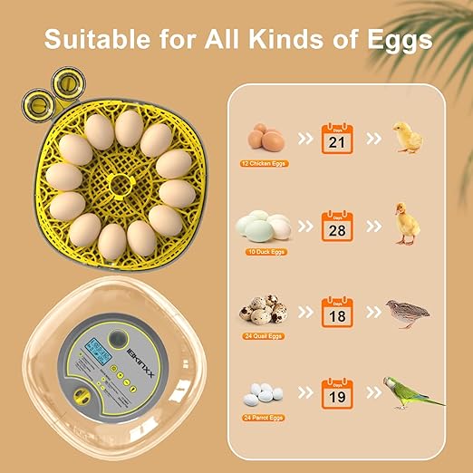 Incubator for Hatching Eggs-12 Egg Capacity, 2026 Newly Upraded Automatic Egg Turner, Temperature & Humidity Control, 360° Viewing for Chicken, Duck and Quail Eggs (Grey)