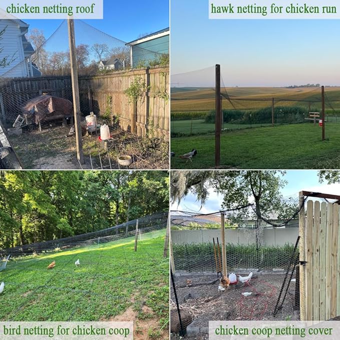 Bird Netting for Chicken Coop 20x20Ft, 1/2" Mesh, Strong Woven Poultry Netting Roof Cover for Chicken Run, Heavy Duty Bird Net for Fruit Trees, Blueberry, Vegetables, Garden Protection