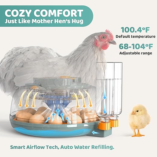 Egg Incubators for Hatching Eggs, Egg Incubator with Automatic Egg Turning and Humidity Control and Temperature Control, 18~36 Eggs Incubator for Chicken & Quail