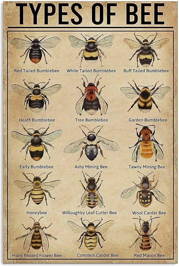 xbowo 15 Types of Bee Retro Garden Metal Tin Sign Kitchen Restaurant Farm Shopping Mall Bar Cafe Man Cave Farm Wall Decoration Iron Painting Metal Plate 8x12inch, Multi