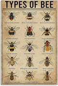 xbowo 15 Types of Bee Retro Garden Metal Tin Sign Kitchen Restaurant Farm Shopping Mall Bar Cafe Man Cave Farm Wall Decoration Iron Painting Metal Plate 8x12inch, Multi
