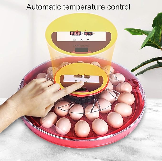 30 Egg Incubator Automatic Turning Digital Poultry Hatcher Brooder Temperature Control Hatching Chicken Duck Quails Bird Easy Observe