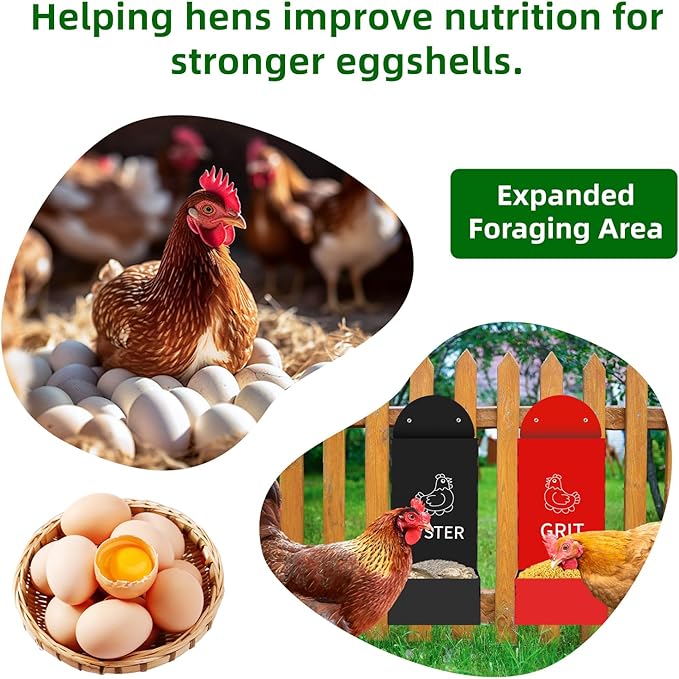 2-Pack Metal Chicken Grit and Oyster Shell Feeder with Drainage Holes -Perfect Backyard Coop Accessory