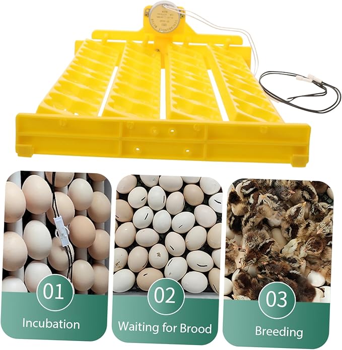 BESPORTBLE 12V Automatic Egg Turning Tray for Incubators Egg Capacity Convenient and Egg Turner Tool for Hatching Chickens Ducks Quail Birds Design for Improved