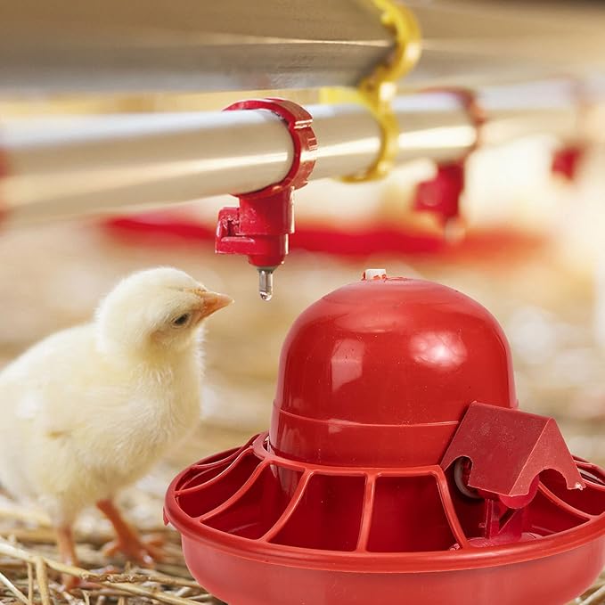 3pcs Automatic Poultry Waterer Chick Water Dispenser for Farm and Home Use Easy to Refill Clean for Chickens Quail and Small Birds
