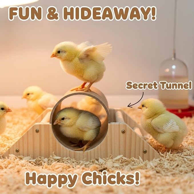 Chick Roosting Perch with Hiding Tube - Pine Wood & Paper Tube for Chicks, Duck, Birds, Parrots - Easy to Assemble Roosting Bar for Small Birds in Coops & Cages