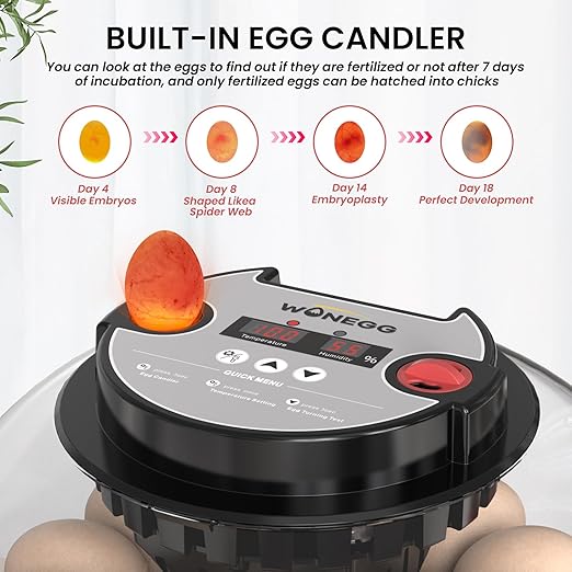 12 Egg Incubator for Hatching Chicken/Quail/Duck Eggs, Auto Turning, Digital Humidity/Temp Control, LED Candler, Auto Water Refill, 360° View (Smart Sensor)