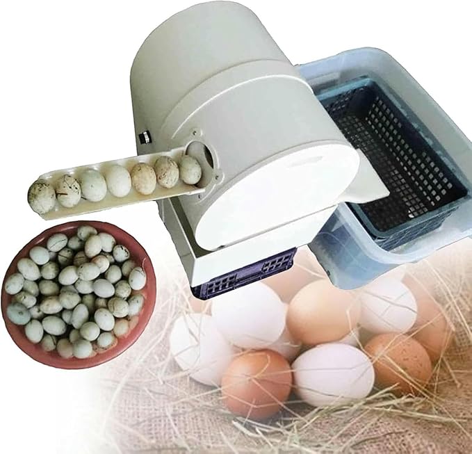 Automatic Egg Washer, Duck Egg Cleaners, Egg Treatment Plant for Fresh Eggs, Reusable Cleaning Tools for Egg Washer ~/