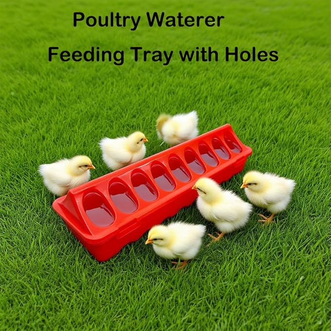 8 Pack Plastic Flip Top Chick Feeders Chicken Feeding Tray Poultry Quail Feeder Drinkder with Hole Trough Tool for Farm Chick Bird Pigeon Ducks Small Chick Grit FeeDuckling Feeder and Waterer Set