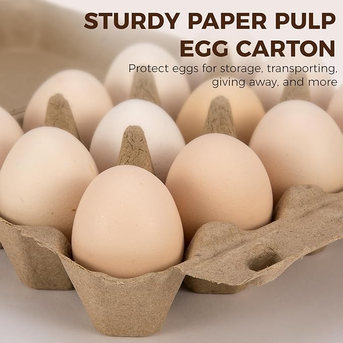 CINPIUK 50 Pack Egg Cartons, 3x4 Style Paper Pulp Egg Trays, Sturdy & Reusable Egg Holder 12 Count Dozen Chicken Egg Storage Tray for Farmers, Home Use & Transport