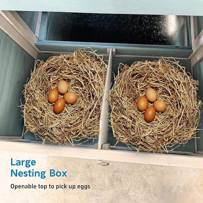 123" Large Wooden Chicken Coop with Run for 4–6 Chickens, Outdoor Hen House with Nesting Box, Sliding Tray, Ramp and Lockable Doors, Weather-Resistant Poultry Enclosure for Backyard, Farm,Blue