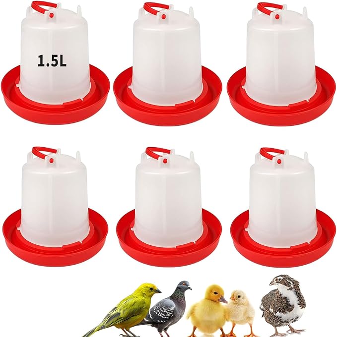 6 Pack 1.5L Gravity-Fed Chick Water for Brooder – Poultry Drinker | Water Dispenser for Baby Chicks, Ducks, Quail, Pigeons, and Backyard Coop Use