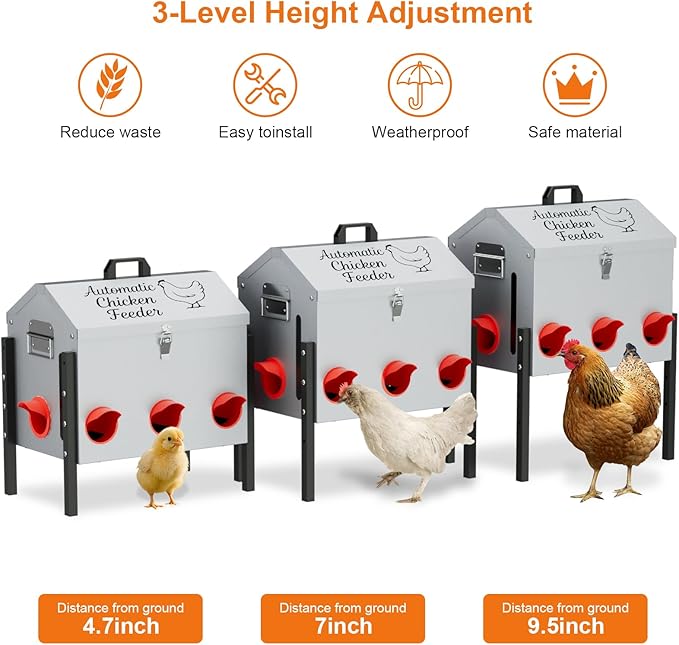 50LB Automatic Chicken Feeder, Metal Chicken Feeder with Window, No-Waste Poultry Feeder with 8 Feeding Ports, Adjustable Height, Locking Lid & Weatherproof Design for Outdoor Coop