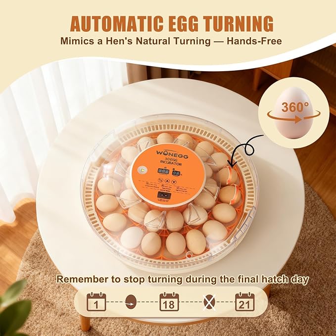 Nest II - 30 Egg Incubator for Large-Batch Hatchers, Hands-On Control, Auto Egg Turning, Manual Water Fill, Consistent Temp, Real-Time Display, Candler for Chicken, Goose, Duck, Quail, Pigeon, Turkey