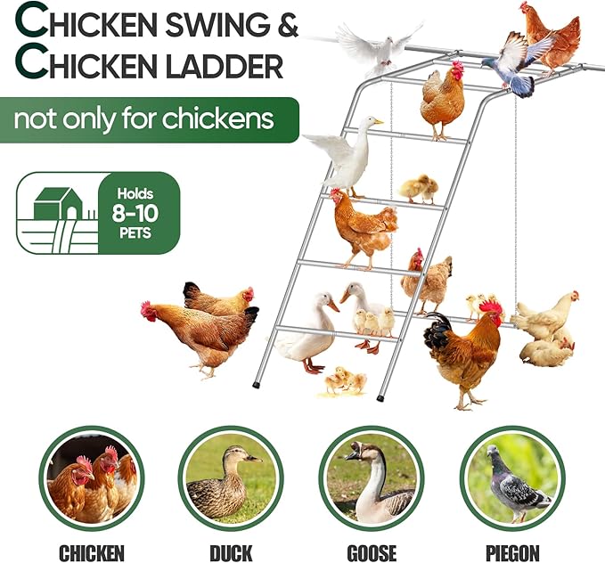 Chicken Perch for Coop with Swing,Chicken Roosting Bars with Large Ladder,Farm Chickens Toys,Perfect for Backyard Pet's Healthy & Happy,Easy to Assemble & Clean,Grey