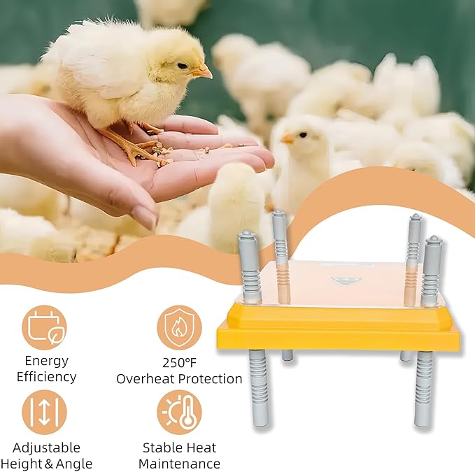 Brooder Heater for Chick Brooder Heating Plate with Easy Cleaning Plate Poulty Coop Heater Chicks Warmer 10 x 10 Inch for 15 Chicks Adjustable Height 15 Watts Chicken Duckling Quail