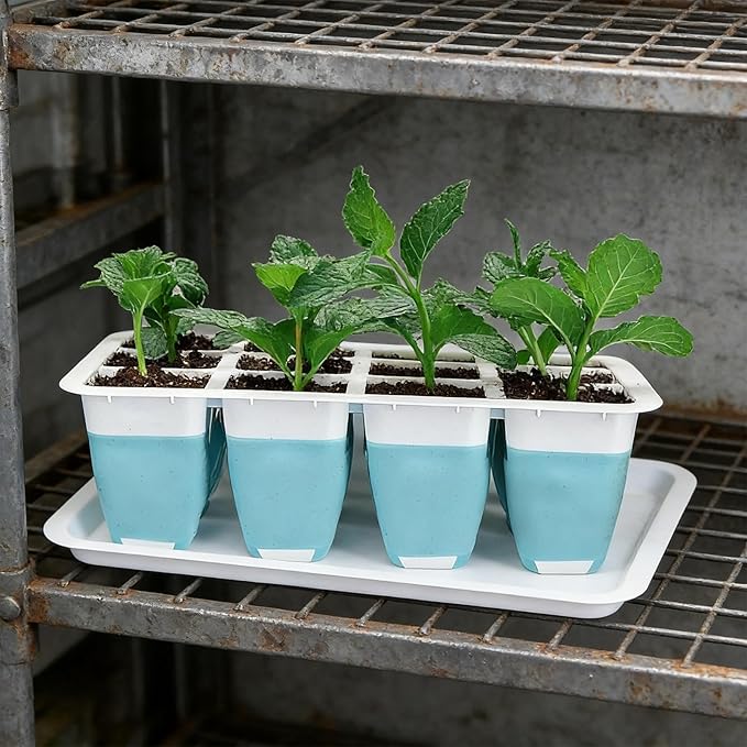 Planting Trays for Seedlings, 60 Cells Reusable Silicone Starter | Seedling Starting Kit - for Indoors Gardening House Potted Lawn Vegetable Flower Farm Windowsill
