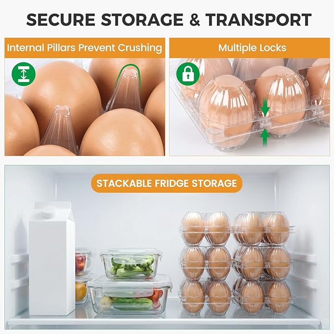HANSGO 60 PCS 6 Count Plastic Egg Cartons Bulk, with 60PCS Date Labels, Clear Stackable Egg Holder for Fresh Medium Eggs Storage, Perfect for Farm, Family, Markets Display