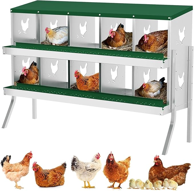 Metal Chicken Nesting Box, 10 Compartments, Rollout Egg Collection, Large Vented Holes, Perch Included, Wall Mount or Free Standing Laying Box for Hens and Chickens - Green with Legs