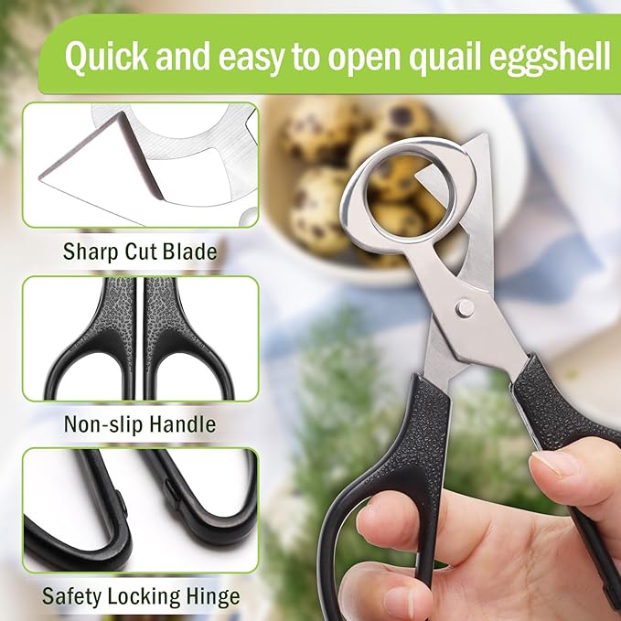 Adecco LLC Pigeon Quail Egg Cutter Scissors Stainless Steel Blades Bird Cutter 2 Pack (Quail Egg Scissor)