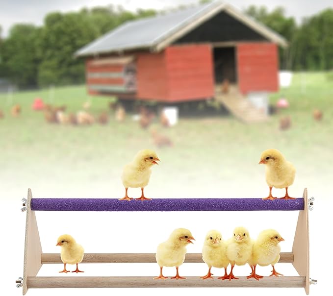 HOZEON 2PCS Wooden Chick Perch Stand, Training Chicken Perches Roosting Bar, Wood Chicken Roosting Bar Perch for Chicks, Parrot, and Birds