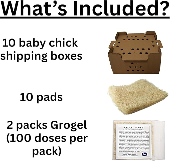 DUNCAN'S FAMILY FARM STORE Poultry Baby Chick Shipping Box Kit – 25 Chick Capacity, USPS Approved – Includes 10 Boxes, 10 Excelsior Pads & 2 GroGel Packs (200 Doses Total)