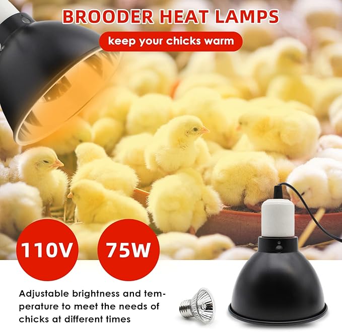 Chick Feeder and Waterer Kit with 75W Heat Lamp, Chick Perch, Flip Top Poultry Feeder, Baby Chick Starter Kit for Chick Brooder, Baby Chicken Supplies for Baby Chick, Duck and Quail