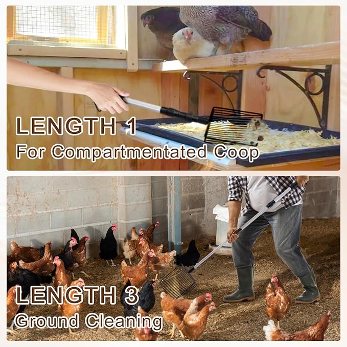 3 in 1 Stretchable Chicken Poop Scooper Chicken Coop Accessories Sifting Shovel for Chicken Coop Chicken Litter Scoop Supplies Separating Poo and Debris from Sand(22.4 to 50 Inch)