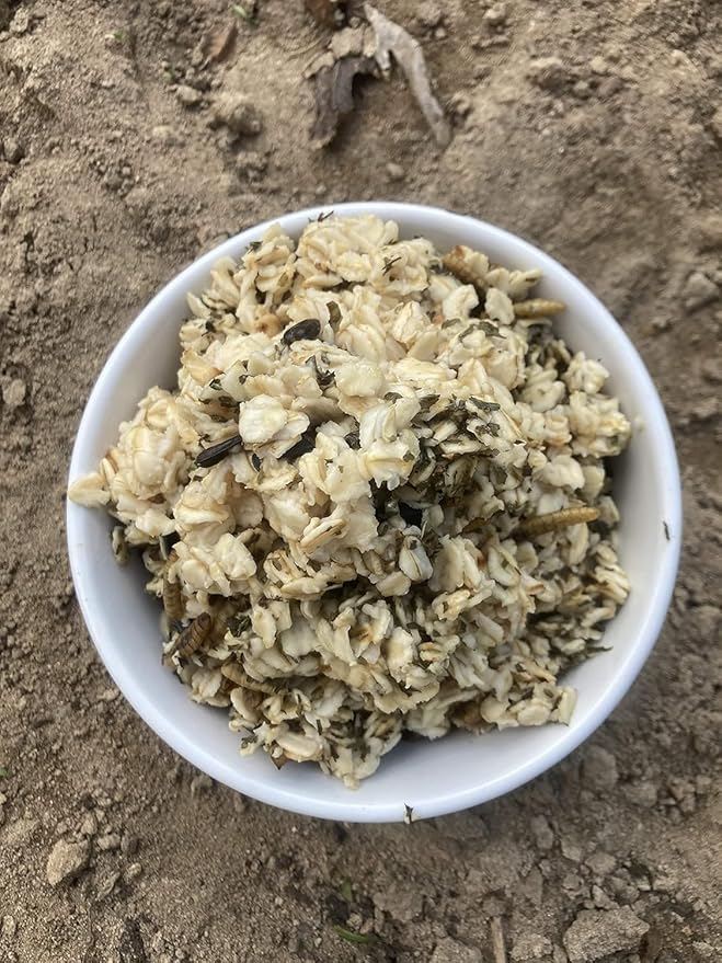 USA Black Soldier Fly Grub, Oatmeal, & Herb Chicken Scratch Treat for Backyard Hens: Healthy Backyard Chicken Feed and Supplies, Cold Winter Nights (4 pounds)