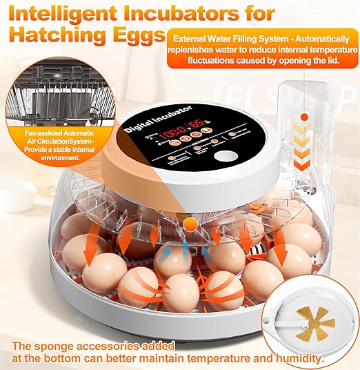 Upgraded Egg Incubators for Hatching Eggs, 22 Egg Incubator with Automatic Egg Turning, Temperature Control & Humidity Display, LED Candler, Incubator for Chicken, Duck, Quail Eggs