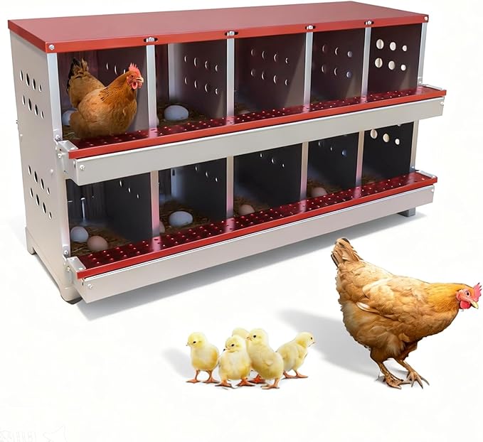 Chicken Nesting Box, 10 Compartment Roll Away Laying Box for Hens, Heavy-Duty Galvanized Steel, Front Egg Collection Tray, 10 Training Eggs Included
