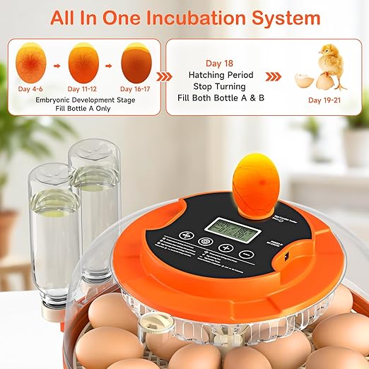 18 Egg Incubators for Hatching Eggs, Automatic Egg Turning and Humidity Control Incubator for Hatch Chicken Duck Quail Pigeon Pheasant Partridge Home Classroom Lab-