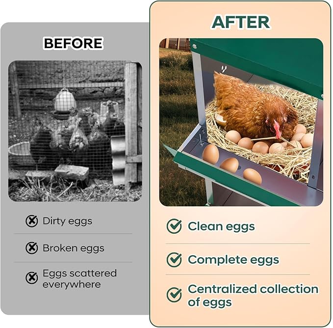 Removable Tray & Large Vented Design - Chicken Nesting Box for Small Animals - 10 Compartments, Two-Tier Galvanized Steel, Easy Wall Mount, Durable, Easy Clean - Green, 10 Compartments ZW
