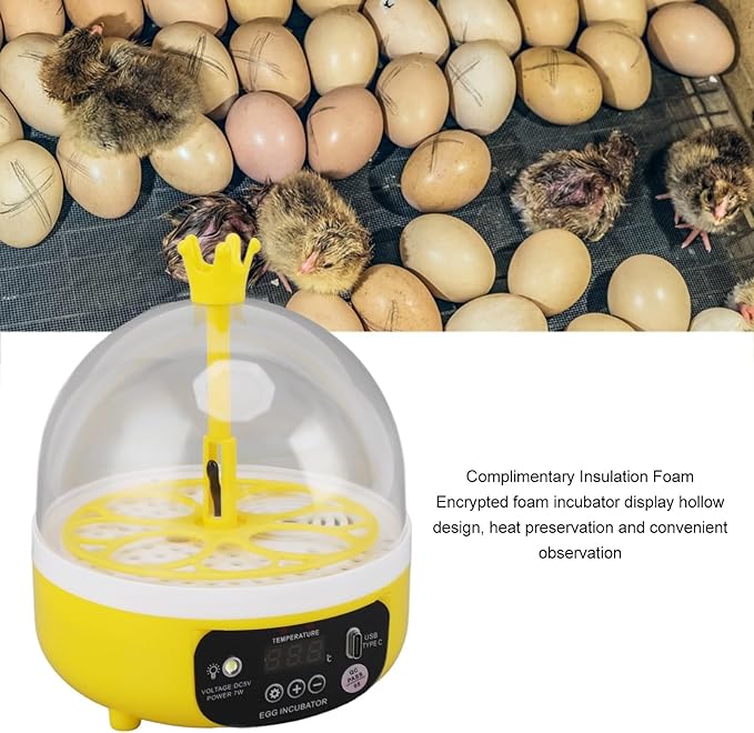Mini Egg Incubator, Automatic Temperature and Humidity Control for 4 Eggs, Transparent Lid, Multifunctional Poultry Hatching Machine for Chickens, Ducks, and Doves (Manual Turning)