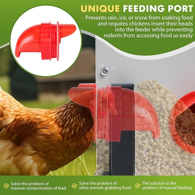 Metal Chicken Feeder with 6 Ports, 60 lbs Metal Poultry Feeder, Height Adjustable Weatherproof Feeding Box for Chickens, Geese, Ducks, Turkeys, Quails (60lbs-6 Ports)