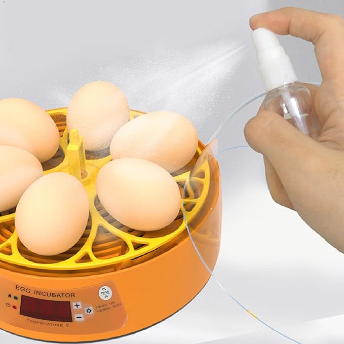 6 Egg Incubator, Automatic Temperature and Humidity Control Manual Egg Turning Poultry Incubator, Incubators for, Hatching Chicken Duck Quail Parrot (US Plug), Depisutamuf4x3e2gd-11