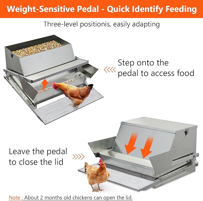 Automatic Chicken Feeder - Heavy-Duty Galvanized Steel 27 LB Large Chicken Feeders - No-Waste Poultry Feeder, Rat Proof, Spill Proof, Standard Size 6 Chickens 10 Days