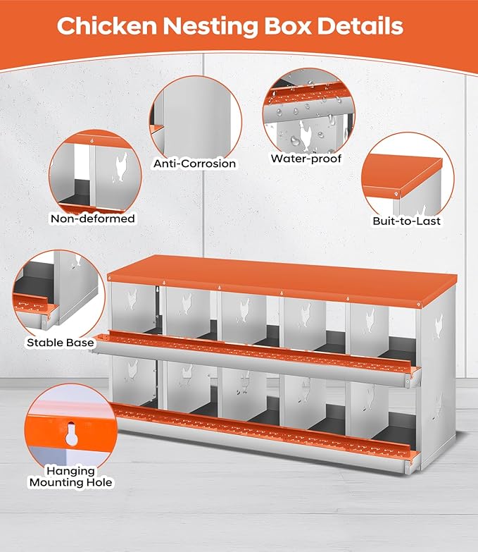 10 Compartment Chicken Nesting Box, Nesting Boxes for Chickens, Chicken Laying Boxes to Protect Eggs, Easy to Clean