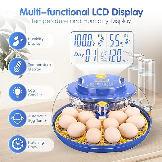 Egg incubators for Hatching Eggs, Automatic Egg Turning 12-24 Poultry Incubator with Temperature Control,Automatic Water Adding,℉ Display,360° View for Hatching Chickens, Duck,Quail,Goose Eggs (M18H)