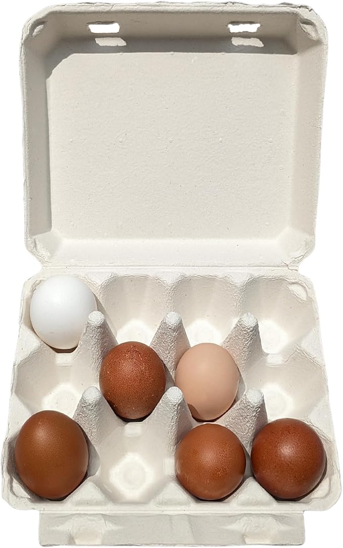 Vintage Egg Cartons for 12 Large Eggs – Classic 3x4 Layout – Durable Recycled Cardboard – Farmhouse Style – Eco-Friendly Packaging - White 25 Pack