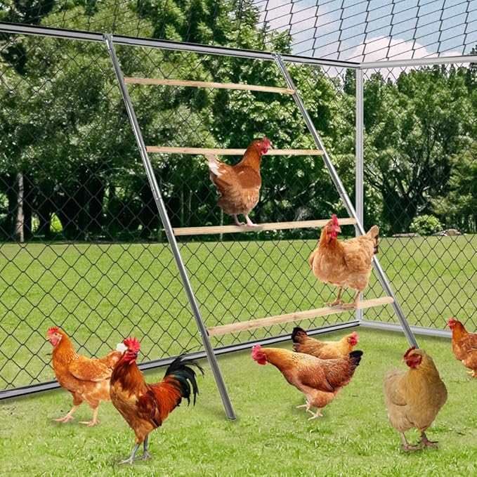 Yeeoy Chicken Perch Stand for Chicken Coop, Chicken Roosting Ladder Sturdy Roosting Bars for Adult Chickens, Chicken Toy and Coop Accessory Perfect for Backyard Poultry