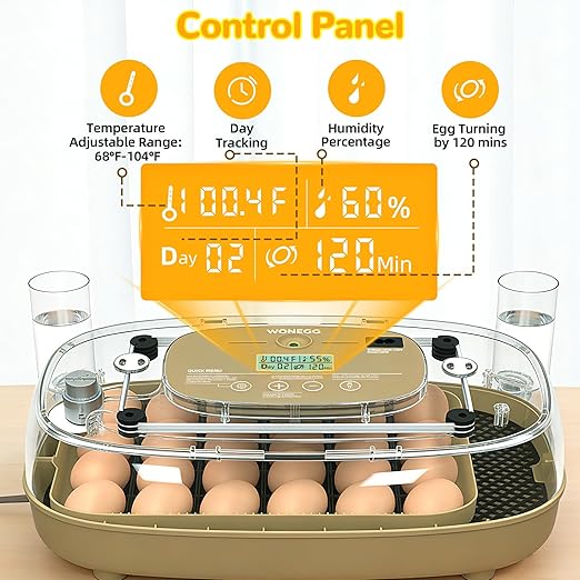 24 Egg Incubator with Temperature Control & Humidity Monitoring, Automatic Egg Turner, Built-in Egg Candler, 360° Clear View for Hatching Chicken, Duck, Quail Eggs - Ideal for Home, Classroom, Farm
