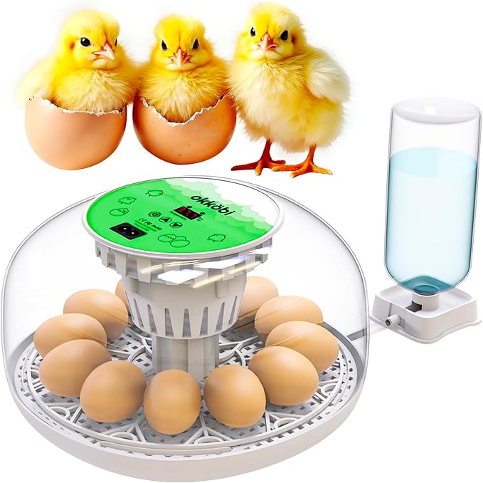 Okkobi M12 Egg Incubator with Automatic Turner and Humidity Control - 12/24 Eggs, 360° View, Easy to Use and Clean - Incubadora de Huevos de Gallina - Made for US - White & Green