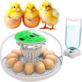 Okkobi M12 Egg Incubator with Automatic Turner and Humidity Control - 12/24 Eggs, 360° View, Easy to Use and Clean - Incubadora de Huevos de Gallina - Made for US - White & Green