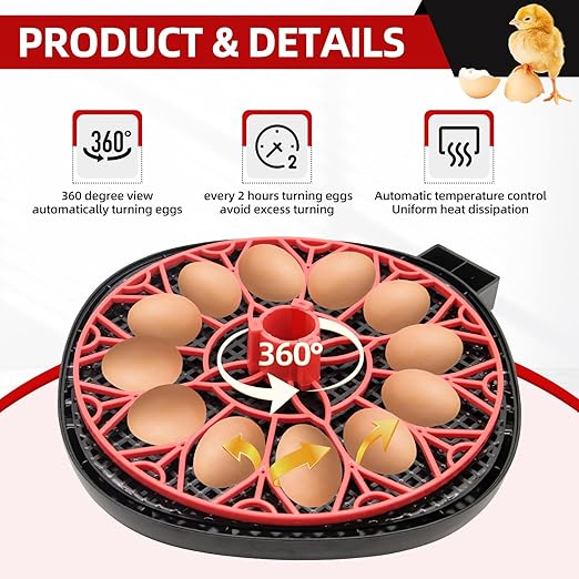 12 Egg Incubator with Humidity Display, Egg Incubator with Automatic Egg Turning and Automatic Water Bottle Refill, Chicken Incubators for Hatching Eggs, Duck Egg Quail Incubator