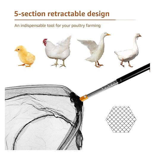 4 Pcs Poultry Catcher Kit, Stainless Steel Chicken Grabber Pole & Net for Birds with Alloy Handle Fishing