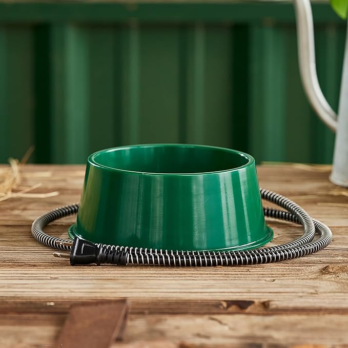 Farm Innovators QT-1 1 Quart Electric Heated Pet Water Bowl with Thermostatic Control and Anti Chew Cord Protector, 25 Watt, Green (3 Pack)